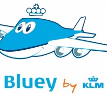 Bluey w serii filmów dla dzieci Bluey w serii filmów dla dzieci