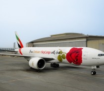 Emirates przetransportowały 70 tysięcy ton świeżych kwiatów w 2016 r. Emirates przetransportowały 70 tysięcy ton świeżych kwiatów w 2016 r.