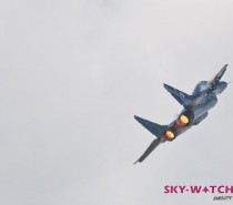 Katastrofa samolotu MiG-29. Pilot żyje! Katastrofa samolotu MiG-29. Pilot żyje!